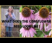 Diane Mumm Garden Videos