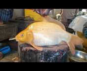 Saikot fish bd
