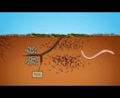 Soil is Life