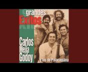 Carlos Mejia Godoy y los de Palangagüina - Topic