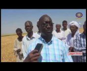 قناة تلفزيون السودان القومي