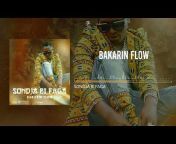 Bakarin Flow
