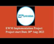 SAP Real Time Project SAP Consultant