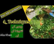 Alia Khan Home Skills