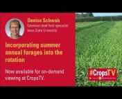 ISU Extension and Outreach - Crops Team