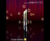 Cruss Gallery