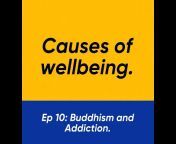 Causes of Wellbeing - Pablo Das Coaching.