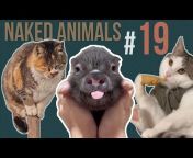 Naked Animals