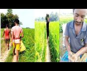 Agriculture Vlog