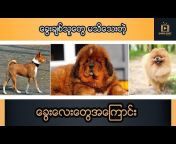 Shwe Khit Online TV