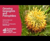 Australian Plants Society NSW