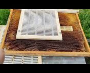 Пчелиный рай. Практическое пчеловодство.