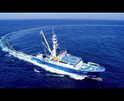 Sea Fishing Video