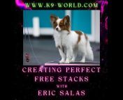 Eric Salas Workshops Training Channel