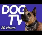 Relax Your Dog - Calming Music and TV