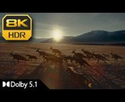 4K Clips And Trailers