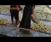 Niranjan Poultry farm