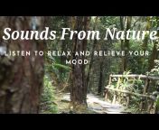 Relaxing Music - Meditation - Nature