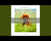Dog Music Dreams - Topic