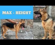THE GSD MAX