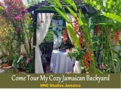 HHG STUDIOS JAMAICA - Health, Home u0026 Garden!