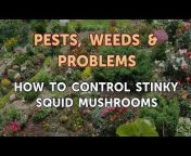 Pests, Weeds u0026 Problems