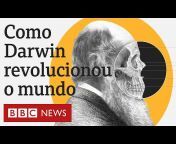 BBC News Brasil