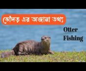 Sundarban S.B Voice