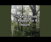 Crickets - Topic