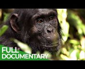 Free Documentary - Nature