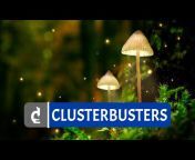 ClusterBusters Inc.
