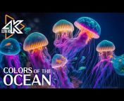 4K Ocean World
