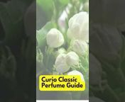 Curio Classic Perfumer