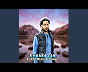 Shandi Gul - Topic