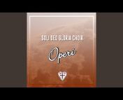 Soli Deo Gloria Choir - Topic