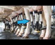 Ontario Dairy Education