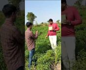 Krushi crop Science