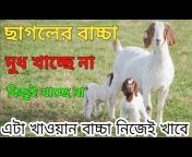 Veterinary Bangla