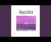llepolia - Topic