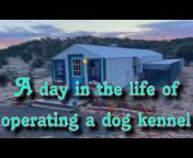 K9 Cabins Pet Retreat for dogs and cats