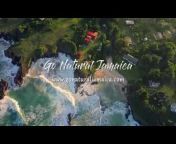 Go Natural Jamaica