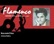 Flamenco u0026 Rumba!