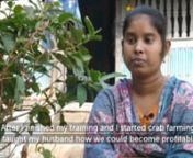 Empowering women crab farmers in Bangladesh earn a better living in Bangladesh.