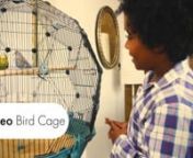 #birdcage #budgiecage #birdfeedernA step by step guided tour of the NEW Geo Bird Cage from Omlet. Watch as we take you through this awesome design that redefines what a pet bird&#39;s cage can and should be. It&#39;s available in 2 colours, Cream and Teal, with 2 optional leg heights which means you can tailor it to suit your home. The geodesic shape provides over 30% more space for your pets compared to other budgie and bird cages.nnCheck out the innovative and unique features which make this bird cage