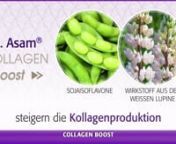 MAsam_Collagen Boost_Benefit_Allgemein from masam masam