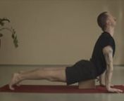 Jožovy lekce Iyengar jógy si vás získají přesností provedení pozic, důmyslnými průpravami, promyšlenými sestavami a pestrostí variací. Postará se o to, aby pro vás pozice byly proveditelné a prospěšné.