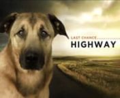 Grab the Kleenex! Last Chance Highway follows Mississippi dog rescuer Shelly Bookwalter from Double Dog Rescue South as she gives unwanted dogs across the South a second chance at survival. We watch Shelly as she pulls dogs out of shelters and off hillsides (literally), vets them and places them in foster homes, posts their profiles on Petfinder and finally, when she&#39;s interviewed and approved potential adopters, works with pet transporter Kyle Peterson to have them driven north to their new hom