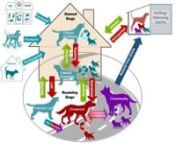 An explanation of simplified dog populations dynamics - Figure 1 in ICAM (2019) Dog Population Management Guidance https://www.icam-coalition.org/download/humane-dog-population-management-guidance/
