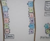 explorebiology.org/bio-dictionarynnTranscription is process making many copies of RNA molecules from DNA. This video describes how RNA polymerase and the rules of base pairing enable information in DNA to be passed on to an RNA molecule, which can then be used by ribosomes to make proteins. To explore more biology terms and concepts, see the Bio-Dictionary in The Explorer’s Guide to Biology (explorebiology.org/bio-dictionary).