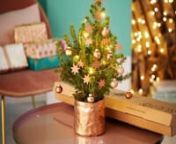 Twinkle_Tree_box_to_vase from twinkle twinkle